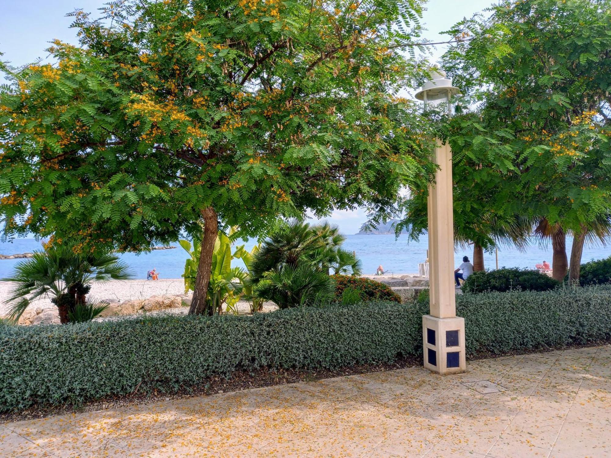 Olivos Holiday Home Αλτέα Εξωτερικό φωτογραφία